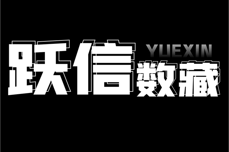 数字化浪潮中的领航者 网络技术与数据服务的协同创新